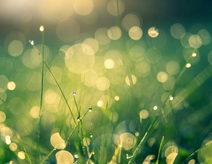 Пищеварительная система - «ФМЦ» Росимущества – Санаторий «Орбита-2»