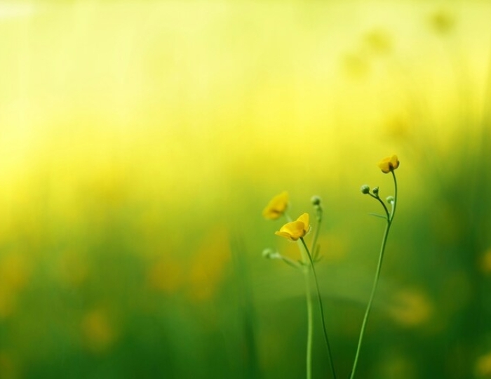 Эндокринная система - «ФМЦ» Росимущества – Санаторий «Орбита-2»