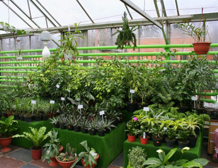 Тепличный комплекс - «ФМЦ» Росимущества – Санаторий «Орбита-2»