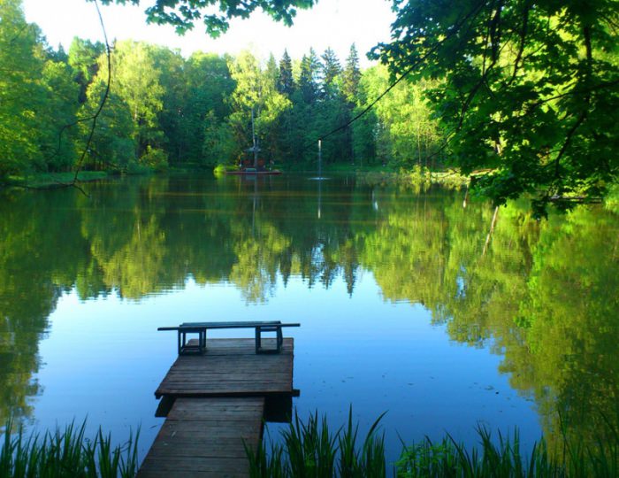 Внешний вид и территория - «ФМЦ» Росимущества – Санаторий «Орбита-2»